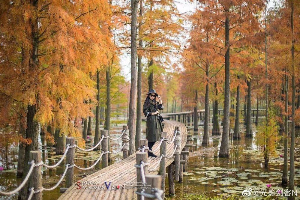 探索知识星球平台,畅享如何给自己的婆婆送上恭喜?的精彩世界
